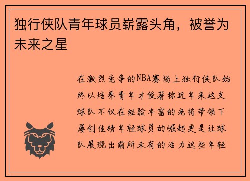 独行侠队青年球员崭露头角，被誉为未来之星